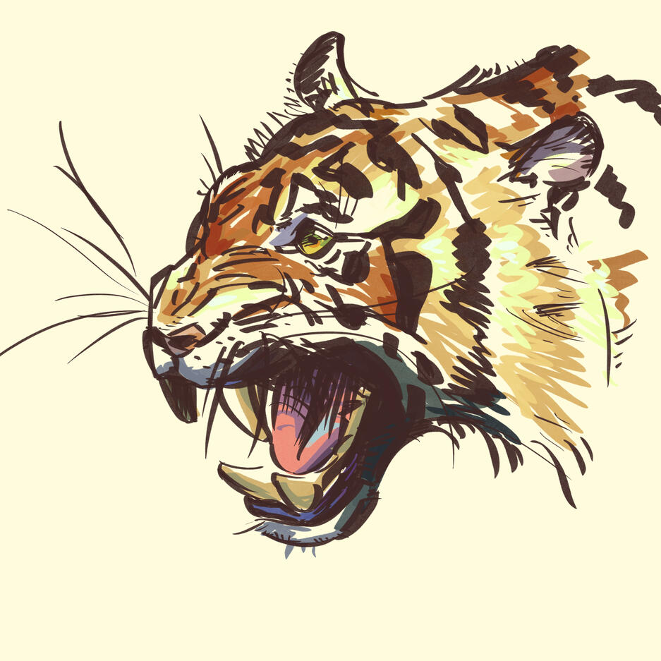 Tiger Study