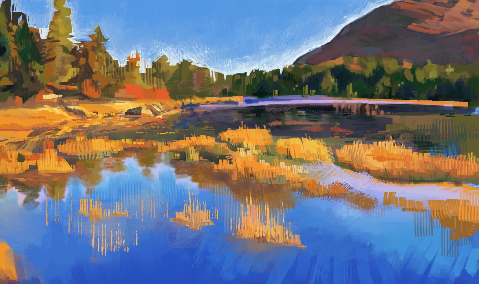 Landscape Study