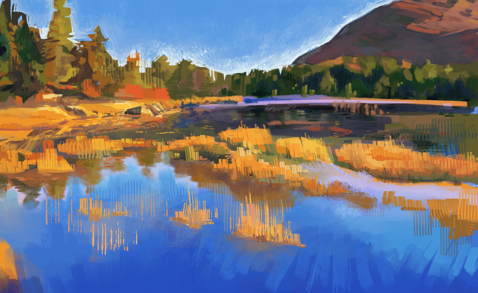 Study